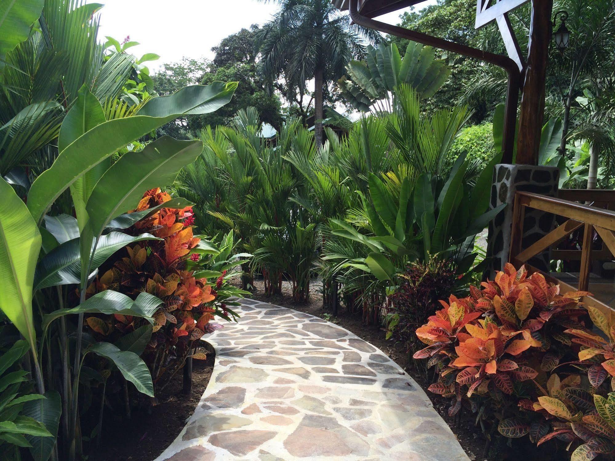 Mussaenda, Arenal Hotel La Fortuna Exterior foto