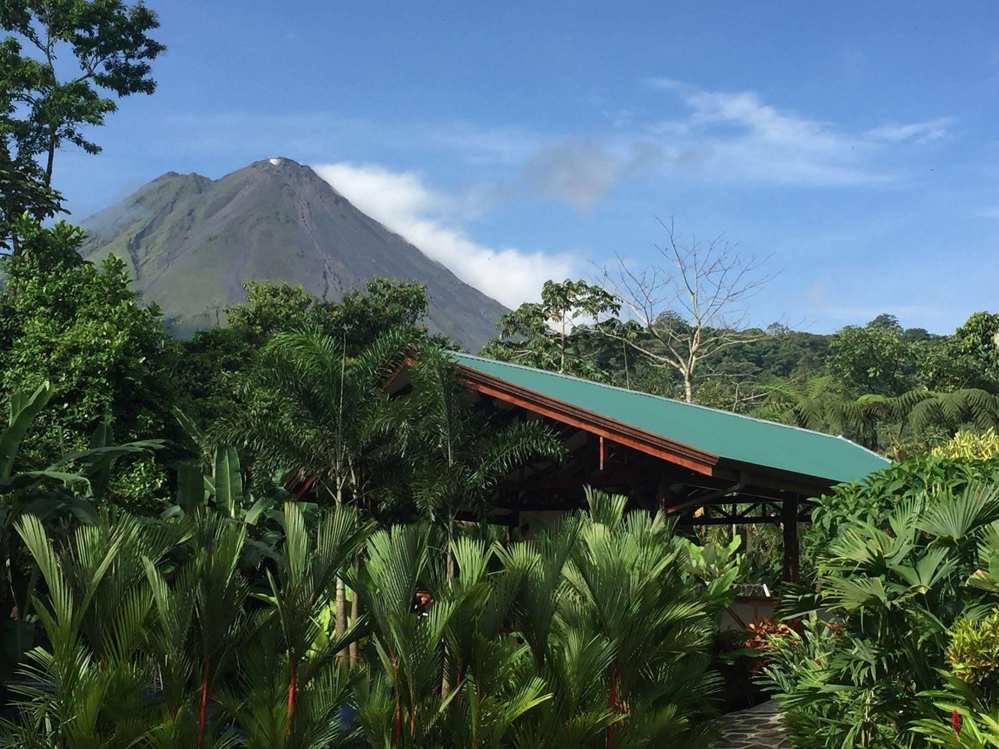 Mussaenda, Arenal Hotel La Fortuna Exterior foto