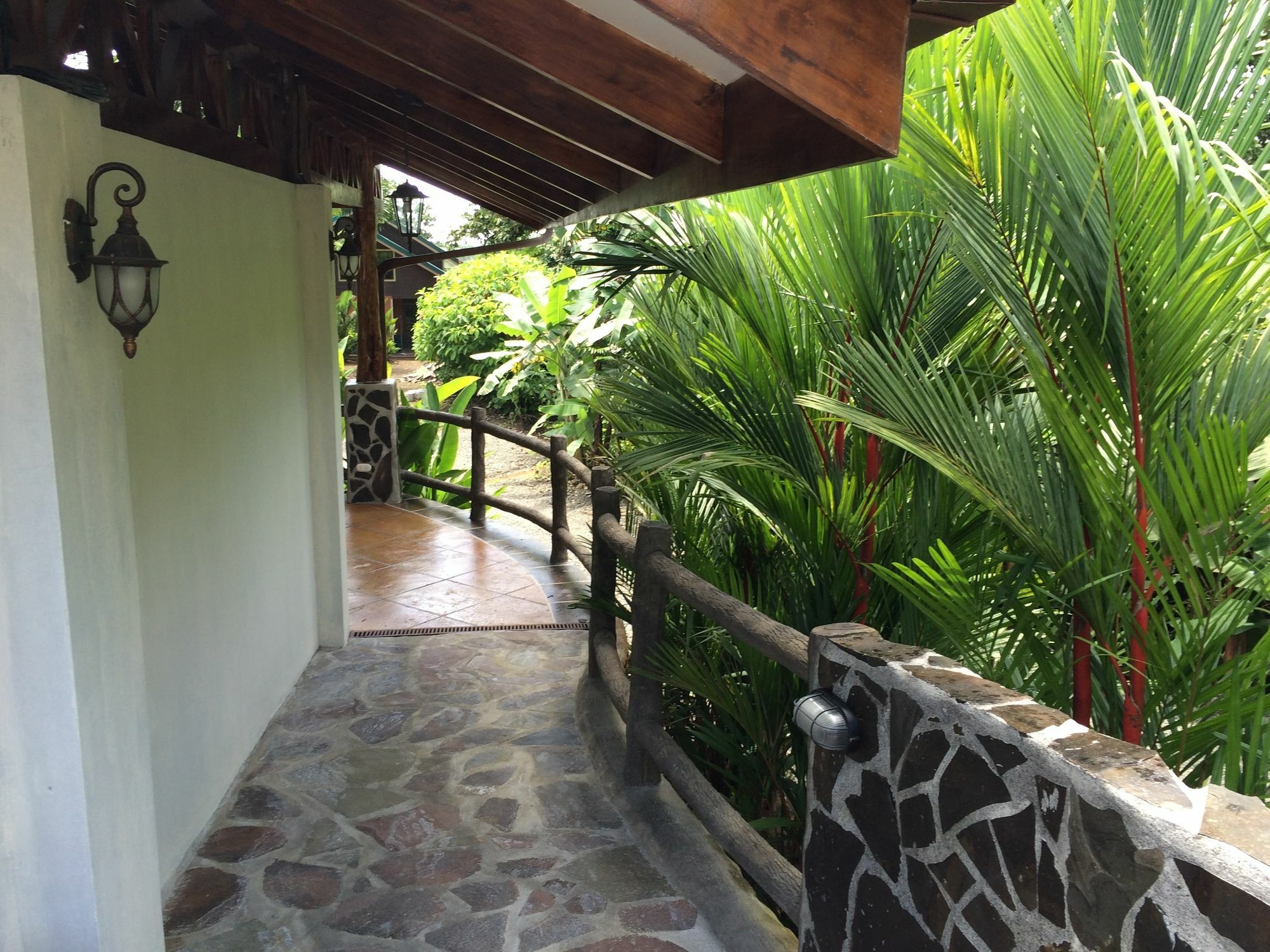 Mussaenda, Arenal Hotel La Fortuna Exterior foto